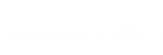 Previous Project